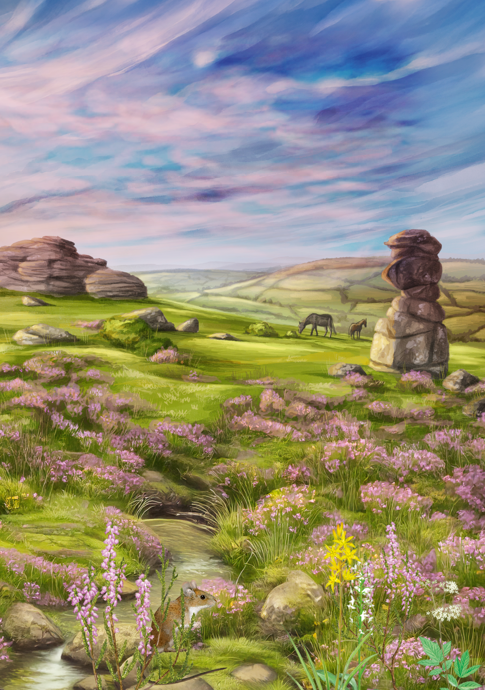 Leśne rozdanie: Dartmoor