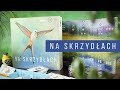 Na skrzydłach