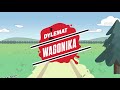 Dylemat wagonika